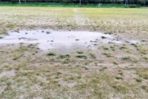 水はけの悪い庭はDIYで改善できる！庭づくりの前にやっておこう