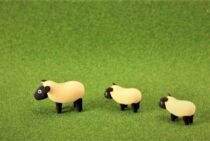 芝生の張り替え時期はいつ？適した時期や張り替え方法もご紹介します