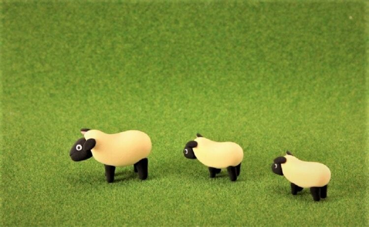 芝生の張り替え時期はいつ？適した時期や張り替え方法もご紹介します