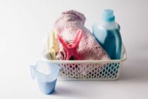 ノミは洗濯でも死ぬ！確実に取り去るためのポイントと被害の予防方法