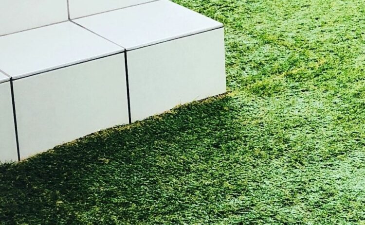 人工芝のカビ対策とは？庭やベランダに設置する際の注意点をご紹介