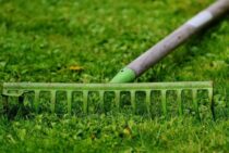 芝生のサッチングで使う道具3選！労力と時間を減らせる方法もご紹介