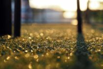 人工芝は10年後こんなに劣化する！選び方とお手入れで長持ちさせよう