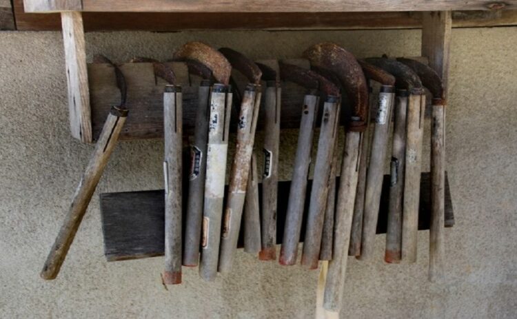 草刈り鎌の研ぎ方を解説！切れ味が落ちた刃を再び使えるようにしよう