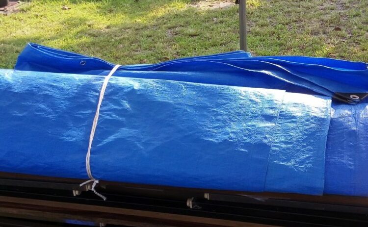 芝生の撤去について解説！いらない芝生をはがして新しい庭づくりを！