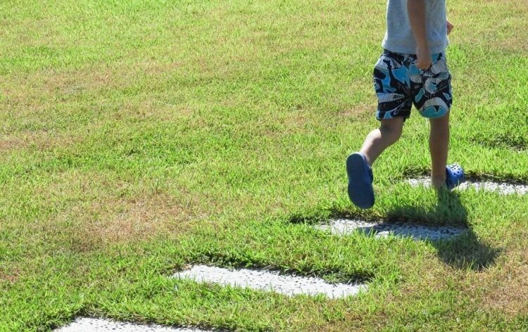 芝生の増やし方を3つ紹介！今ある芝生をもとに増やすこともできます