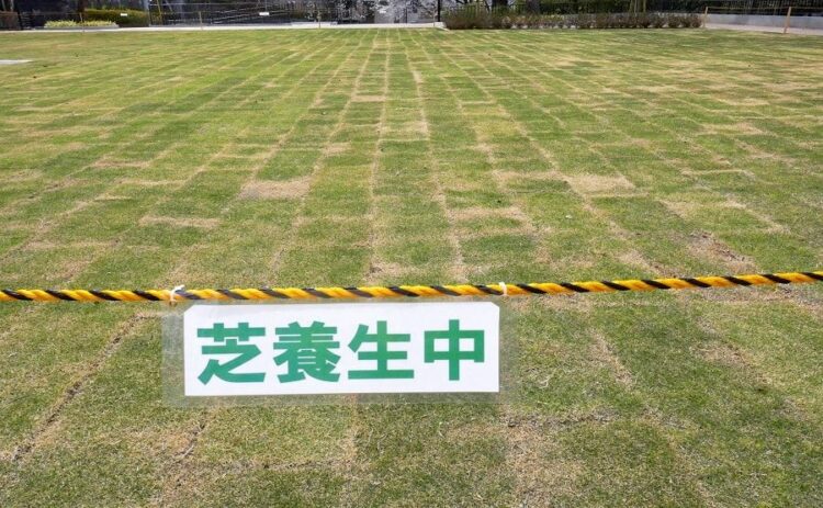 芝生が生えてこない原因を紹介。対処をして庭一面に芝生を広げよう