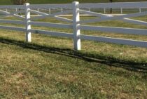 ケンタッキーブルーグラスの特徴を知ろう！世界各地で人気な理由とは