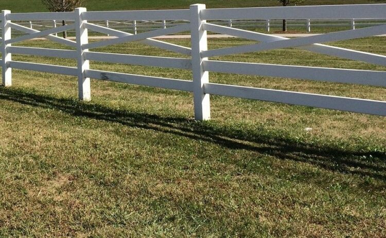 ケンタッキーブルーグラスの特徴を知ろう！世界各地で人気な理由とは