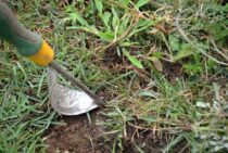 防草シートのデメリットを克服！雑草対策に失敗しないポイント！