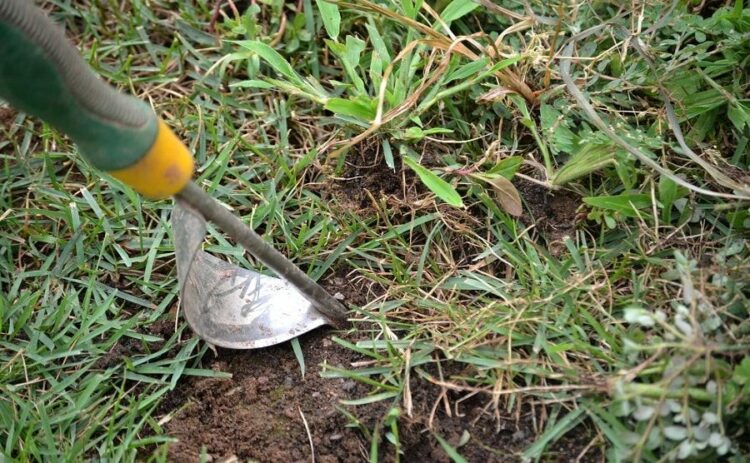 防草シートのデメリットを克服！雑草対策に失敗しないポイント！