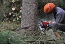 伐倒方向のコントロールにはくさびが大切！安全に木を倒す方法を紹介