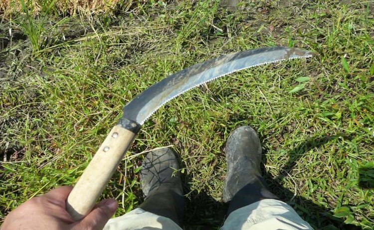 草刈り道具のおすすめを紹介！特徴を知って自分にあった道具を選ぼう