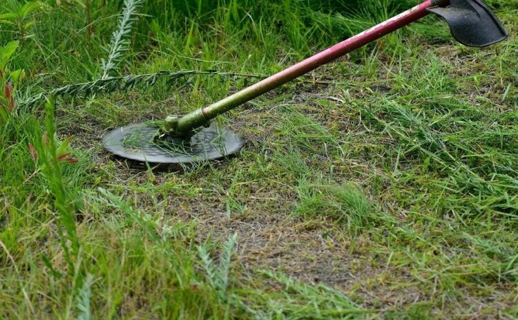 草刈り機を充電式にするデメリットはある？草刈り機を選ぶコツを紹介