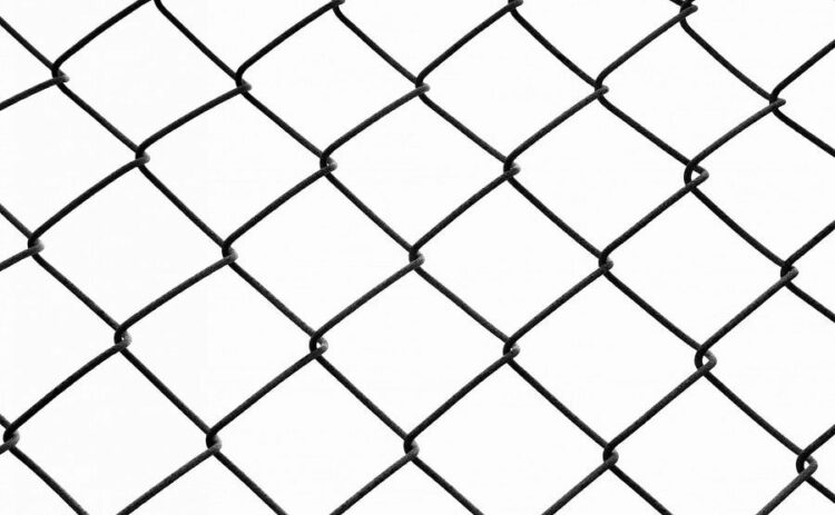 見ないと損する！？ネズミ対策の金網を正しい設置方法を詳しく解説