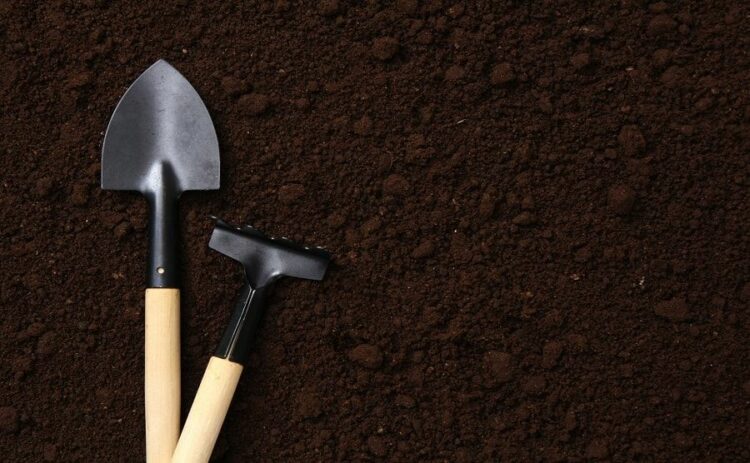 庭の整地はトンボで平らにするとよし！芝張り前の整地方法とは