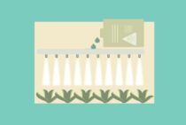 畑に除草剤をまいて除草をしよう。安全な除草剤とその使い方について