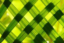 寒地型の西洋芝を高麗芝に混ぜると芝生が一年中緑に！その方法を紹介