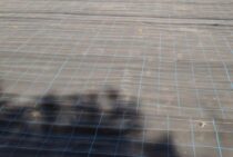 防草シートはテープを使うのがおすすめ！より効果的に雑草を防ぐには