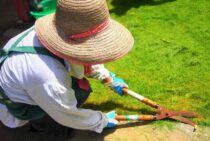 草刈りハサミなら立ったまま草を刈れる！使い方や手入れ方法を紹介