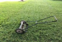 芝生が伸びすぎると病気になることも！正しい芝刈りについて知ろう！