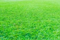 人工芝のDIYでの失敗と原因とは！失敗しないための対策法も紹介