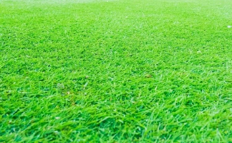 人工芝のDIYでの失敗と原因とは！失敗しないための対策法も紹介