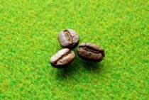 コーヒーかすが雑草の抑制になる。自然のもので雑草予防をしたい！