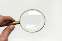 ノミの大きさは約3ミリ！小さい体でも逃さず見つけるチェック方法