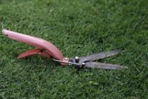 草刈りを簡単にする方法を紹介！便利な道具と雑草対策まで徹底解説