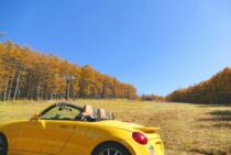 コペンでバッテリー上がりが起きたときの対処法を紹介！解決策は4つ