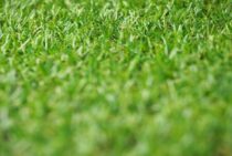 人工芝の継ぎ目を消して美しい庭に！人工芝をきれいに張る方法とは