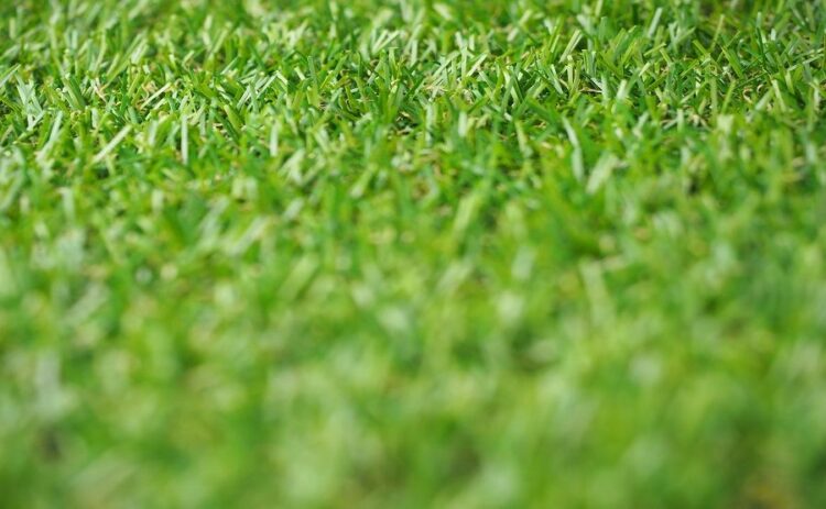 人工芝の継ぎ目を消して美しい庭に！人工芝をきれいに張る方法とは