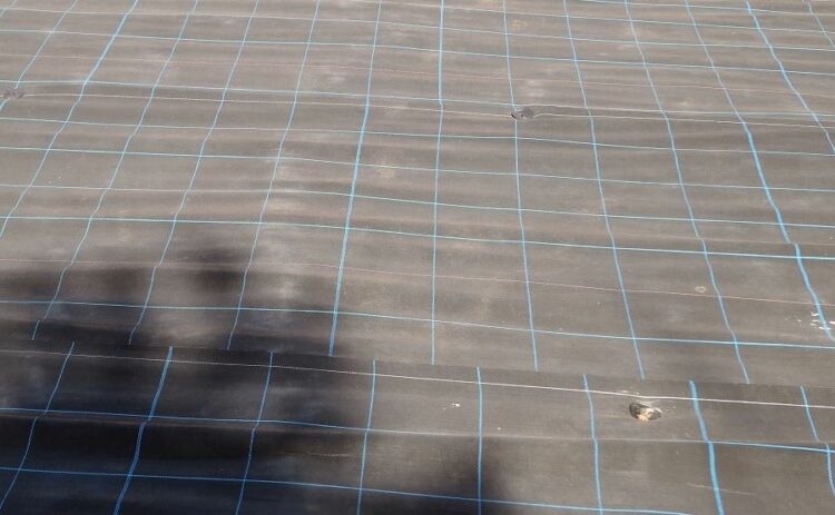 防草シート固定用ピンの選び方！種類ごとの特徴と打つときのポイント