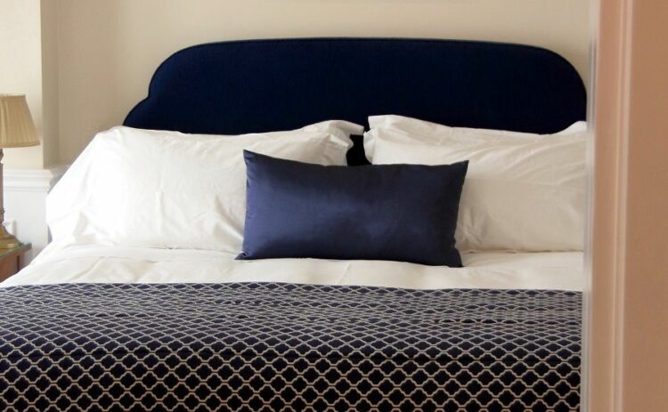 ゴキブリがベッドの下や上に現れたときの対処法とは！予防法も解説！