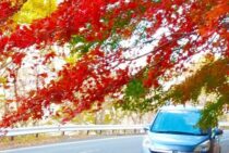 ステップワゴンのバッテリー上がり解消法とは？3つの方法をご紹介