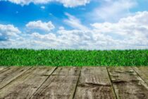 芝生のエッジ（端）を整えよう！細かい部分の芝刈りで庭をきれいに！