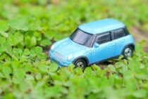 駐車場に撒く除草剤は「粒剤タイプ」が効果的！撒き方の手順とコツ