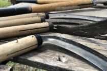 【草刈りのコツ】鎌は用途で使い分け！正しい使い方で効率アップ！