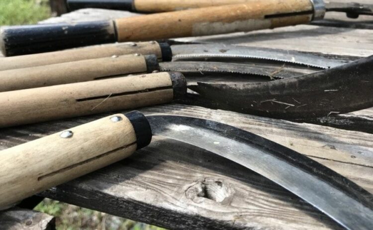 【草刈りのコツ】鎌は用途で使い分け！正しい使い方で効率アップ！