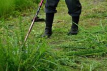 草刈り機で女性に使いやすいのはどれ？見極めるポイントをご紹介！