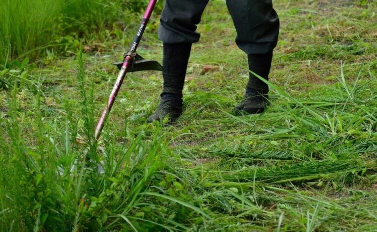 草刈り機で女性に使いやすいのはどれ？見極めるポイントをご紹介！