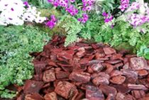 庭の雑草対策はウッドチップだけでもできる？より効果的な方法を紹介