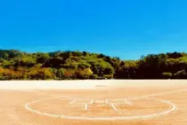 グラウンドの除草の効率的な方法を解説！塩はNG？除草剤はOK？