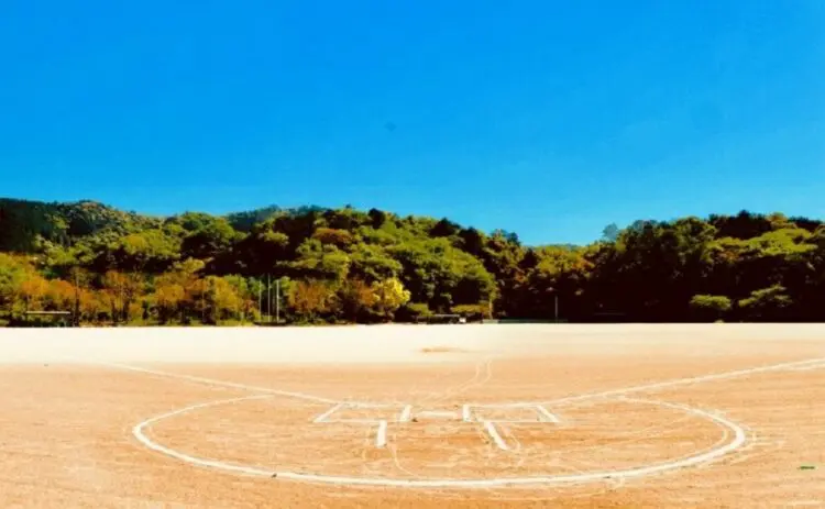 グラウンドの除草の効率的な方法を解説！塩はNG？除草剤はOK？