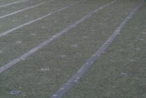 防草シートの施工費用を算出しよう！自分でできなければ業者にお任せ