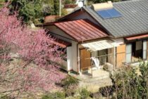 見直したい空き家の雑草対策｜放置するとトラブルの原因に！