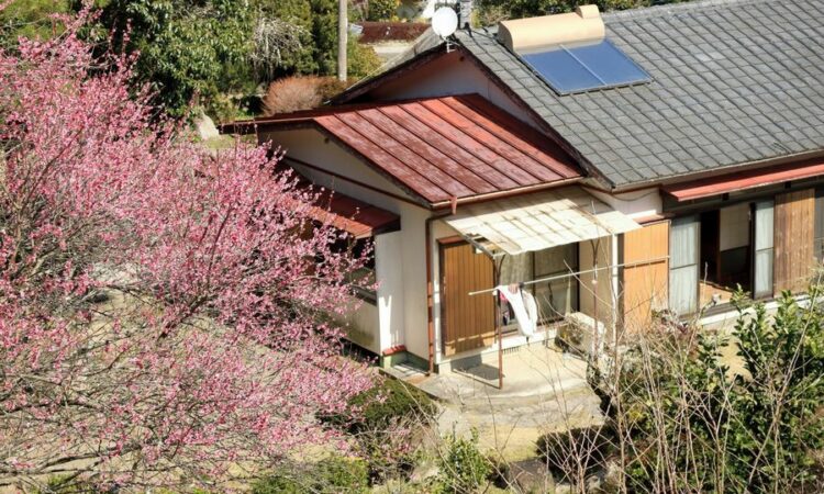 見直したい空き家・空き地の雑草対策｜放置するとトラブルの原因に！