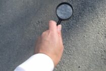 ヒアリの見分け方を詳しく解説！見分け方がわかれば被害を予防できる