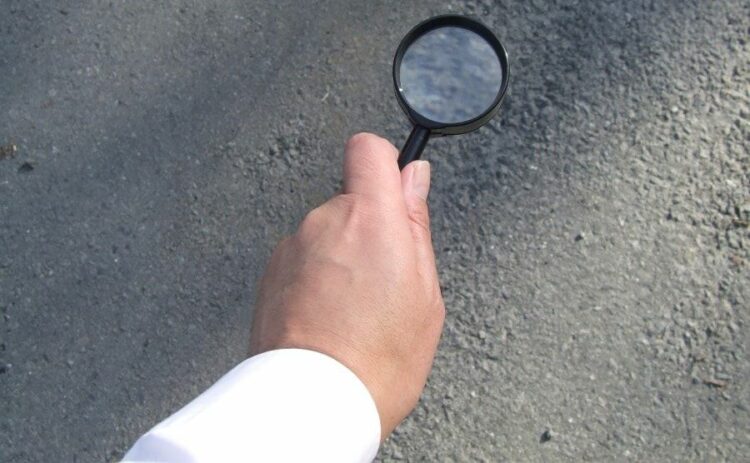 ヒアリの見分け方を詳しく解説！見分け方がわかれば被害を予防できる